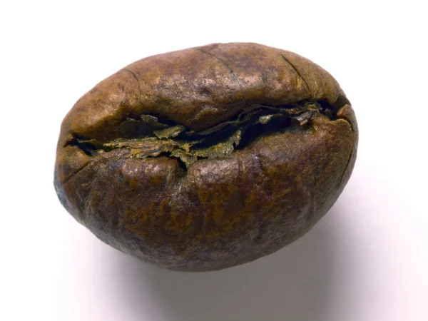 皮博迪咖啡豆 — 图库照片