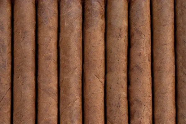Cigarrer konsistens — Stockfoto