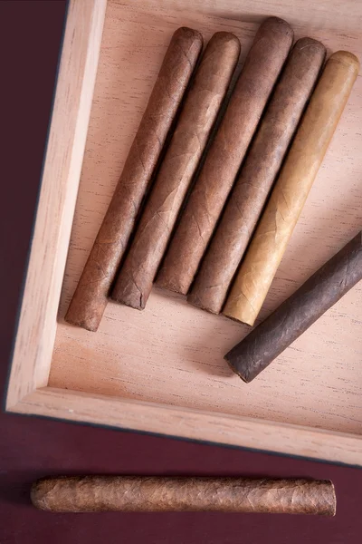 Några cigarrer i en låda — Stockfoto