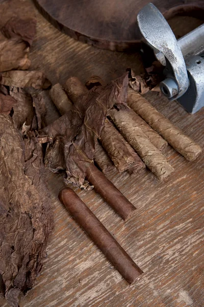 Manufacture of cigars in the cigar factory — Stock Photo, Image