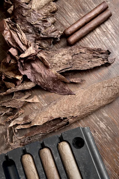 Herstellung von Zigarren in der Zigarrenfabrik — Stockfoto