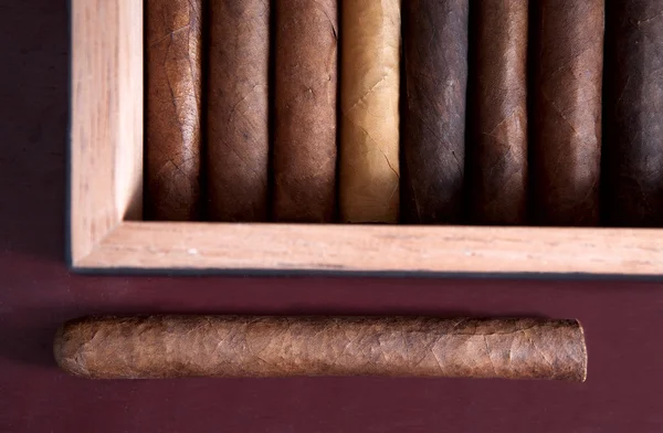 Cigar humidor och mörk bakgrund — Stockfoto