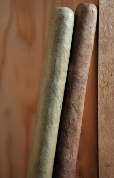 Zwei Zigarren in einer Schachtel — Stockfoto