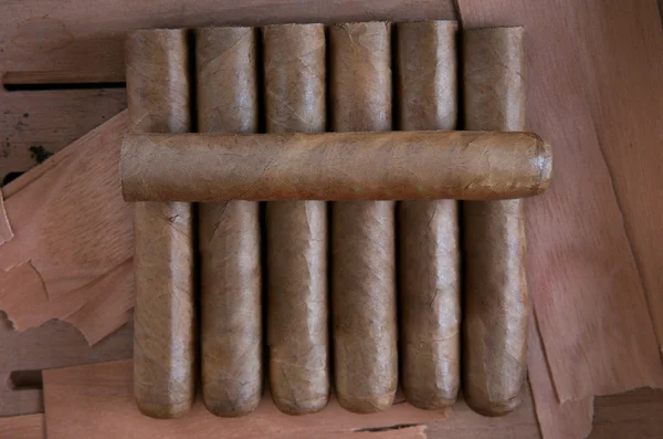 Siedem cygar na brązowym tle — Zdjęcie stockowe