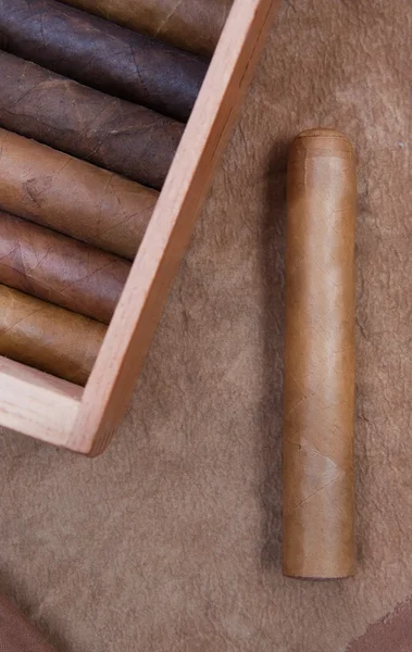 Сигара и коробка сигар на коричневом фоне — стоковое фото