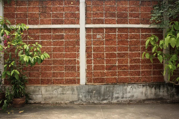 Parede de tijolo vermelho com plantas verdes — Fotografia de Stock