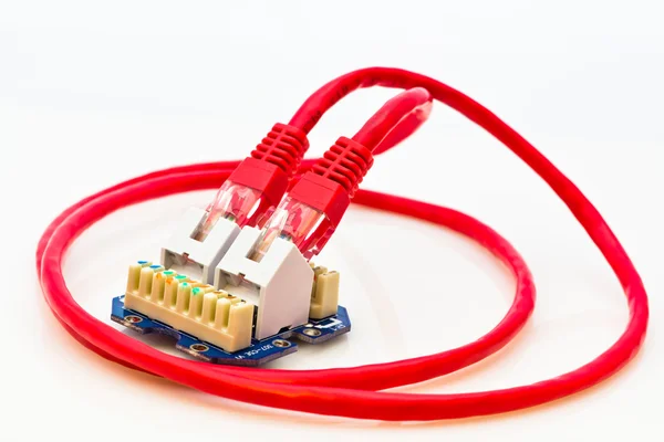 Rode netwerkkabel in het stopcontact — Stockfoto