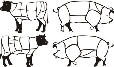 Pork & beef diagrams clipart