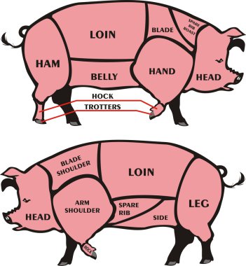 Cuts of pork - american & british clipart
