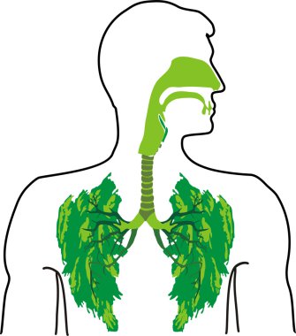 Green lung - a breath of fresh air clipart