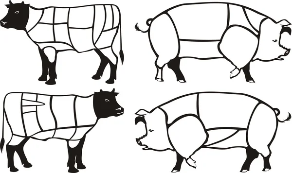 Diagramy wieprzowina idealna wołowiny — Wektor stockowy