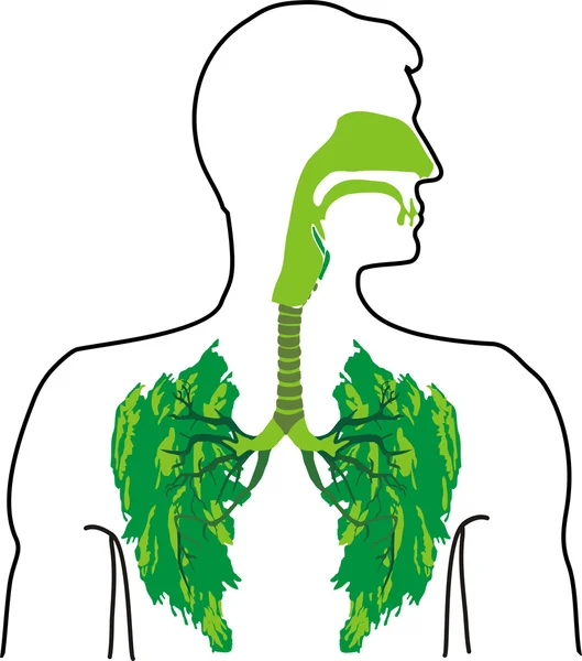 Zielone płuca - powiew świeżego powietrza — Wektor stockowy