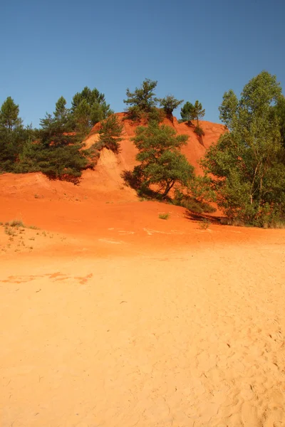 stock image Colorado Provencal