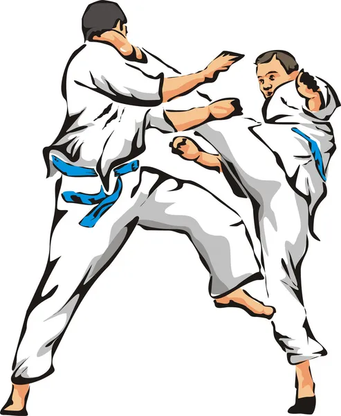 Karate - tekme ve yumruk — Stok Vektör