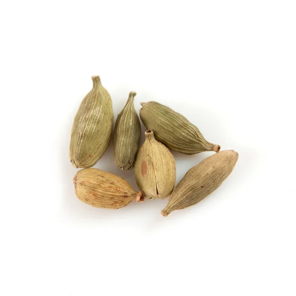 stock image Cardamom