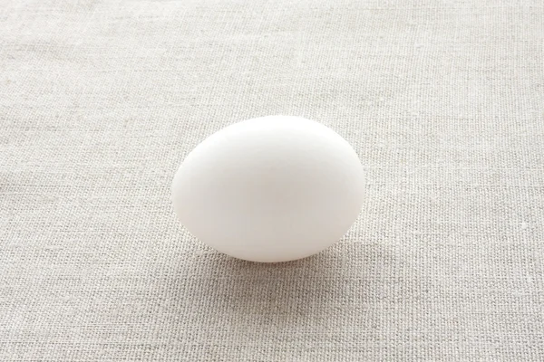 One fresh chicken egg white on the fabric