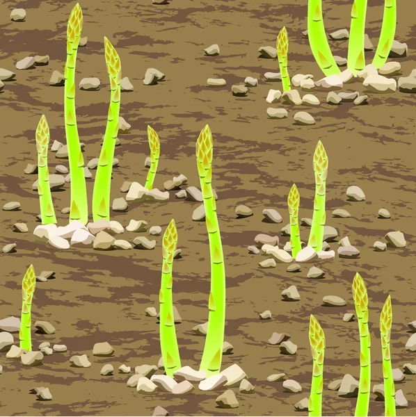 Szparagi włóczni, pojawiających się przez glebę — Wektor stockowy