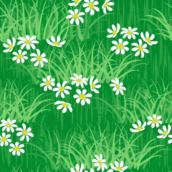 Camomile field seamless background — Stock Vector