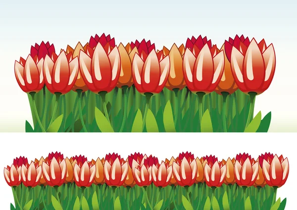 Border of tulips. — Stock Vector