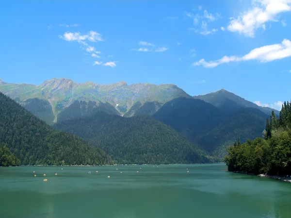 Lac Ritsa en Abkhazie — Photo