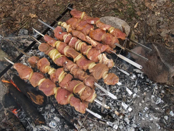 Shish kebab frying on coals — Stock Photo, Image