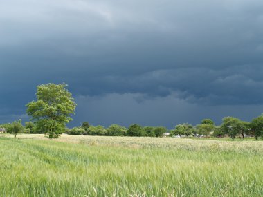 bir alan üzerinde fırtına gökyüzü