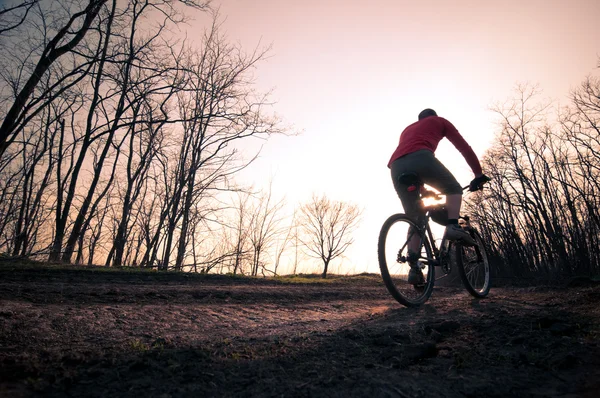 Homem de bicicleta ao pôr do sol — Fotografia de Stock