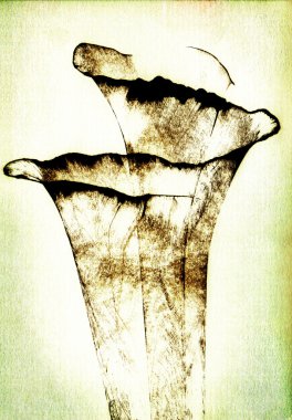 romantik Çerçeveli arka plan