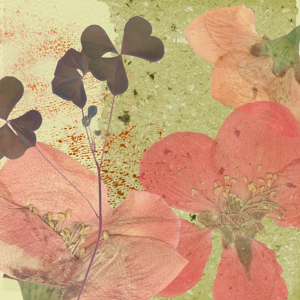 艺术复古花卉背景 — 图库照片