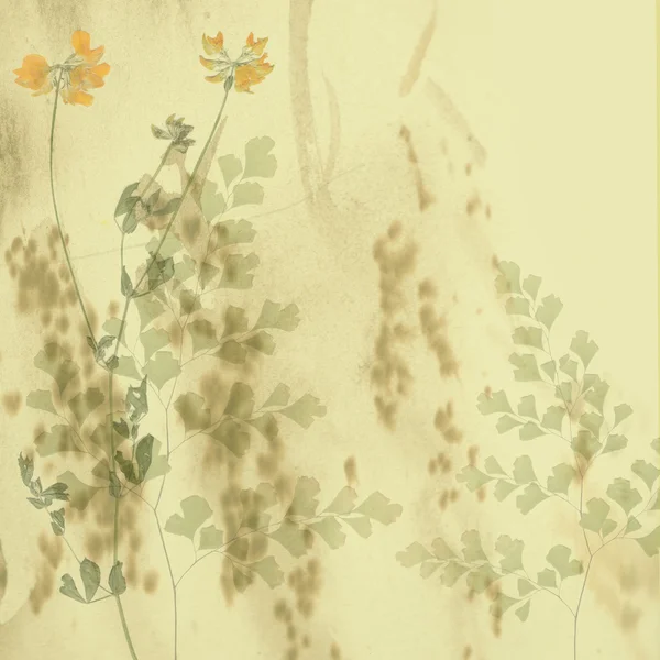 Art vintage floral background — Stock Photo, Image