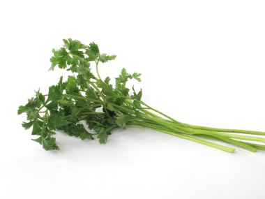 Parsley (celery) on a white background clipart