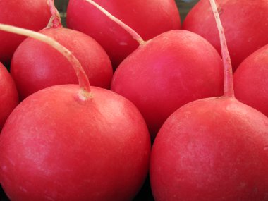 A radish is garden red. Редиска.