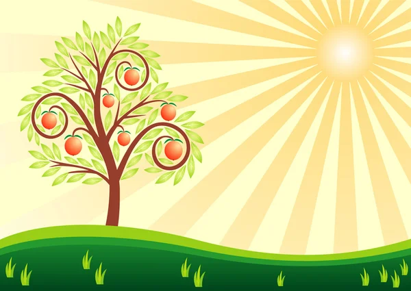 Tree and sun — Stock Vector