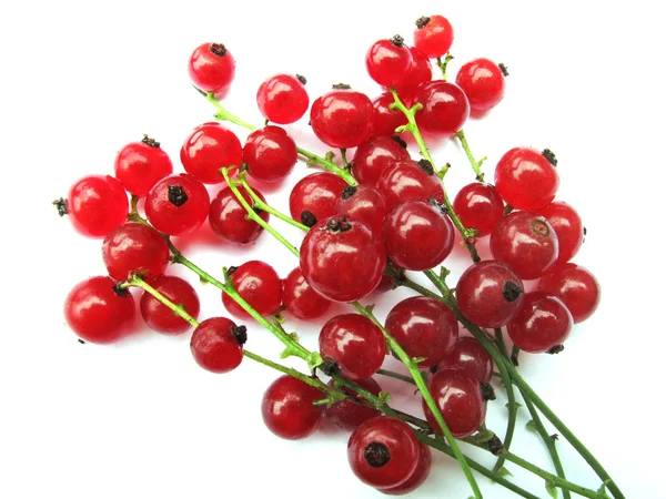 Gooseberries, currant red. — Stock Photo, Image