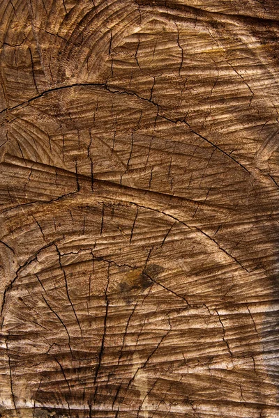 Geschnittene Holzstruktur — Stockfoto