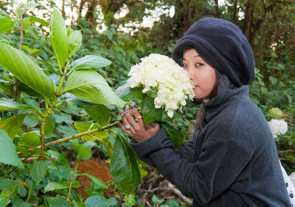 Молодая женщина нюхает цветок — стоковое фото