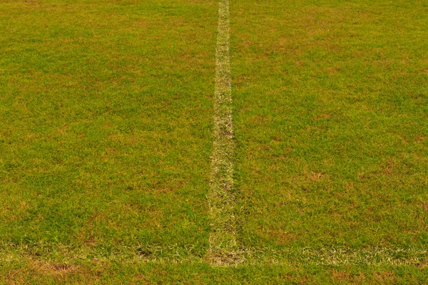 Campo de grama com linha branca — Fotografia de Stock