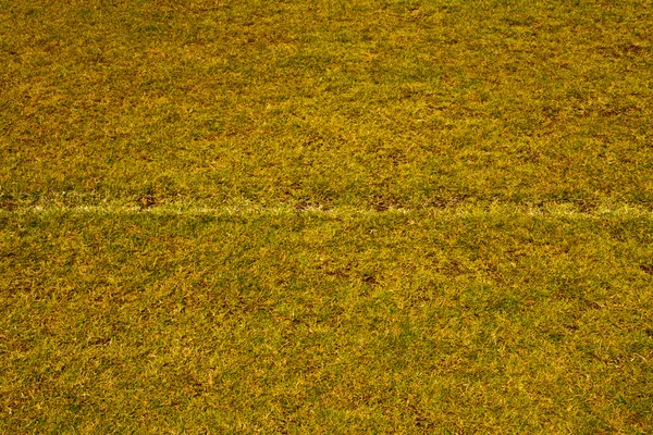 Травяное поле с белой линией — стоковое фото