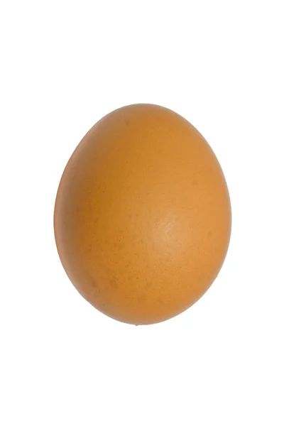 Куриный яичный белок изолирован — стоковое фото