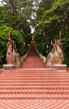 Overall of naga stairs of Wat Pathat Doi Suthep clipart