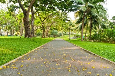 Bicycle path way in park clipart