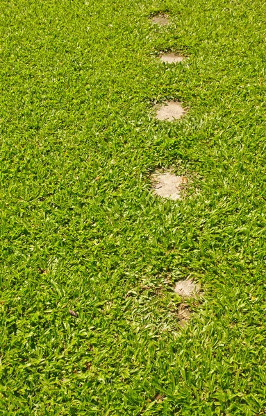 Rots pad lopen in grasveld — Stockfoto