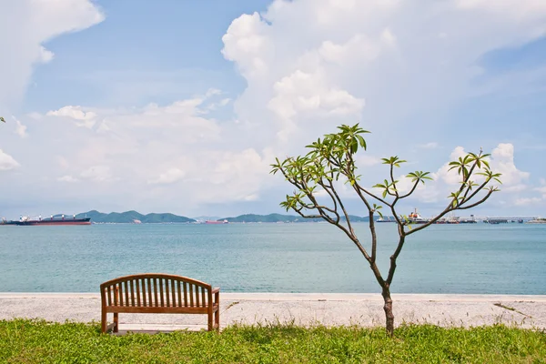 Banco de descanso y el árbol en la orilla — Foto de Stock