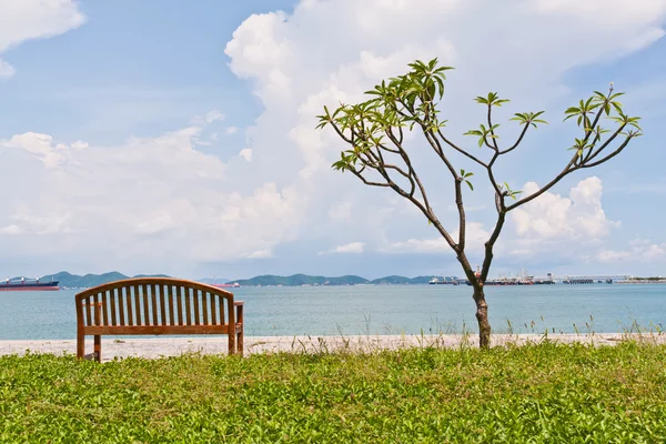 Rest bench and the tree at shore fit frame — Stock Photo, Image