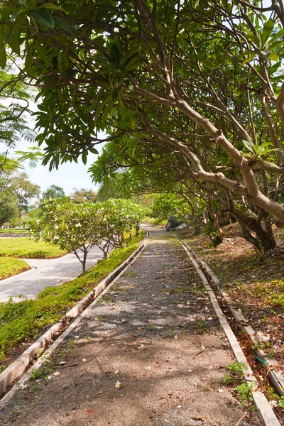 Caminho curva pouco no parque — Fotografia de Stock