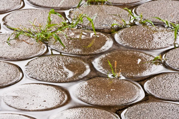 Мокрый пол брик крупным планом — стоковое фото