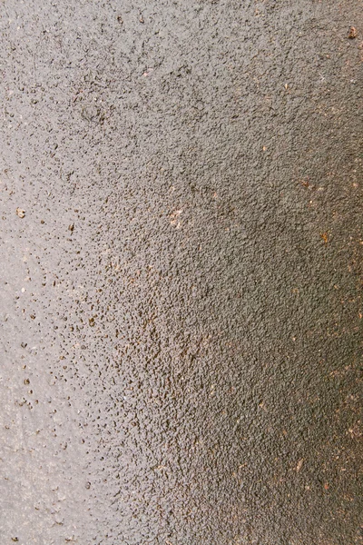 Nedves betonon — Stock Fotó