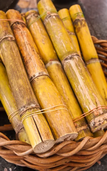 Sugarcane in basket — Stock Photo, Image