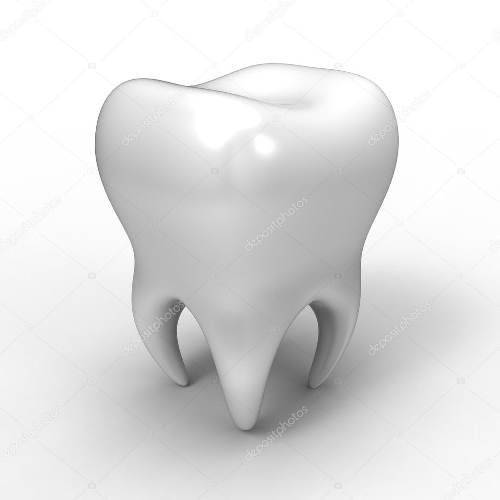 Tooth on a white background