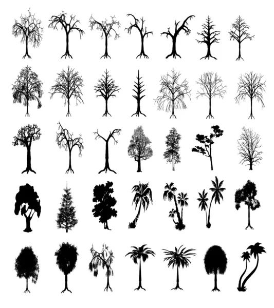 Tárgyak, fák, a természet, fekete, a sziluettje, fa, egy tenyér tr Stock Fotó